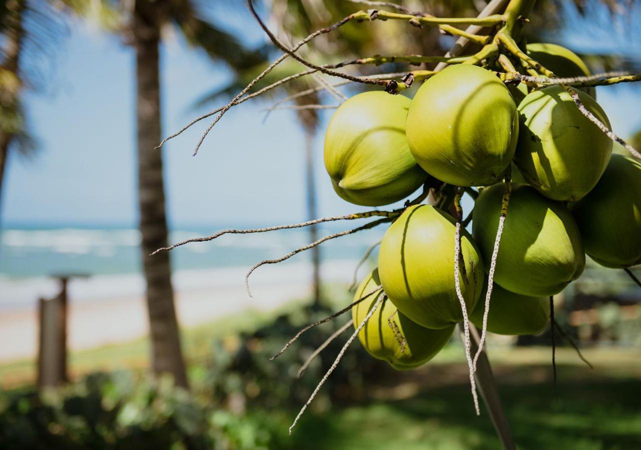 Flat Guarajuba Beira Da Praia Pe Na Areia Eksteriør bilde